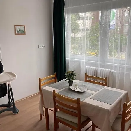 Large Comfy Flat W/ Buda Location Budapest