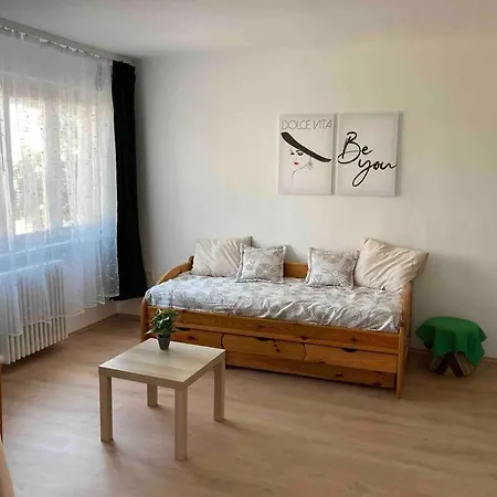 公寓 Large Comfy Flat W/ Buda Location *